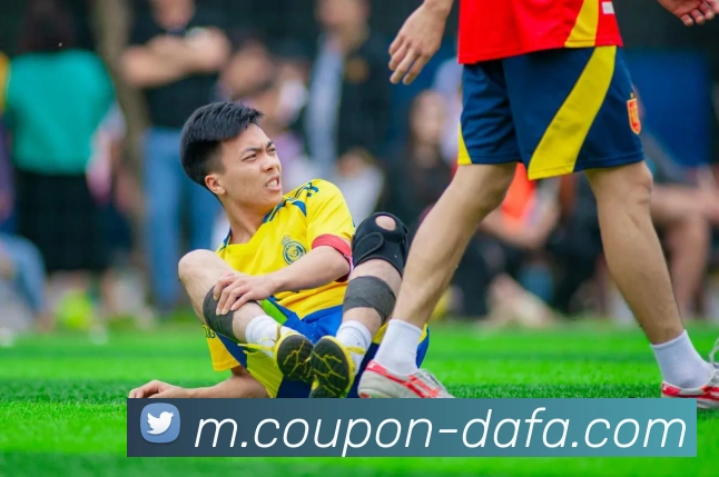 大发彩票平台生态图